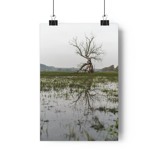 Giclée Art Print, The Last Ent Tree Reflection on Water Surface, Nature Wall Art, Forest Print, Woodland Decor, Tree Artwork