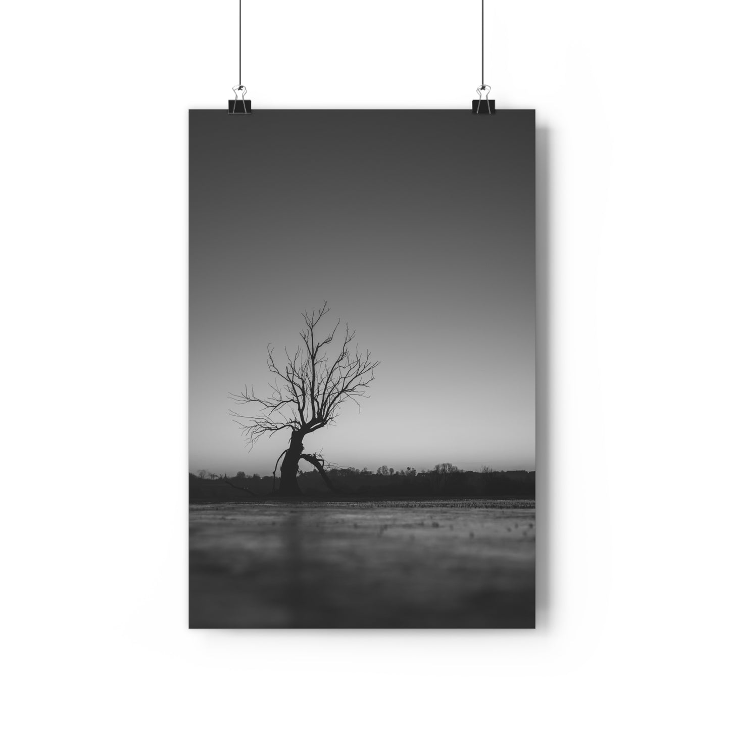 Giclée Art Print, Old Tree 'The Last Ent' Winter Sunset Black White Photo, Wall Art Decor, Nature Lover Gift, Landscape Photography, Fine