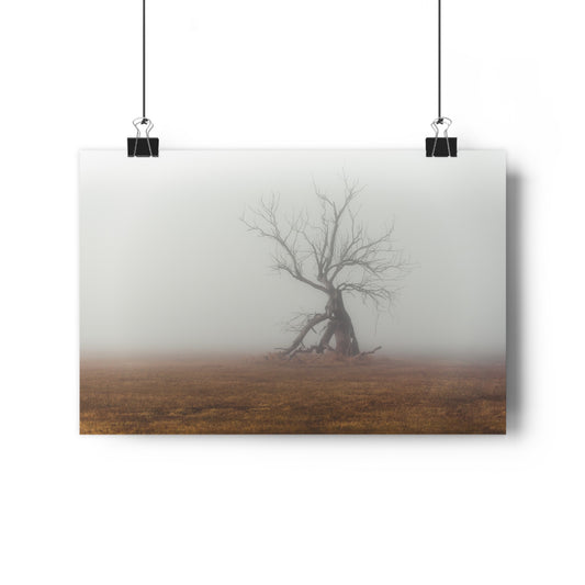 Art Print Wall Decor, Giclée Print, The Last Ent Tree Illustration, Foggy Field Landscape Poster, Nature Artwork, Unique Gift for Nature