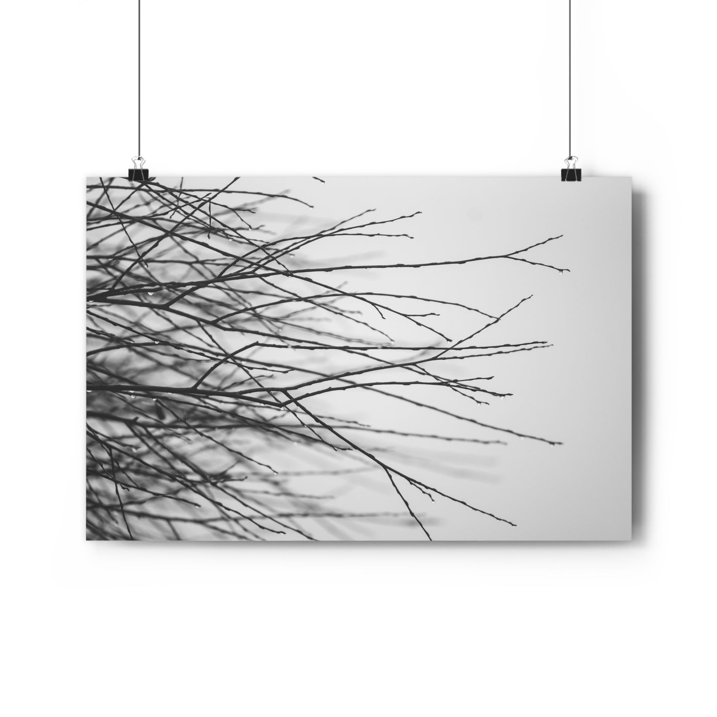 Giclée Art Print, Tree Branches at Winter Time, 'Tangled Whispers', Nature Wall Art, Home Decor, Gift for Nature Lover, Wall Decor, Winter