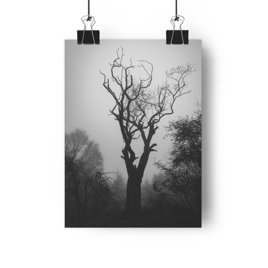 Giclée Art Print, Black and White Photo, Tree Silhouette Wall Decor, Foggy Weather Landscape, Nature Photography Poster, Home Office