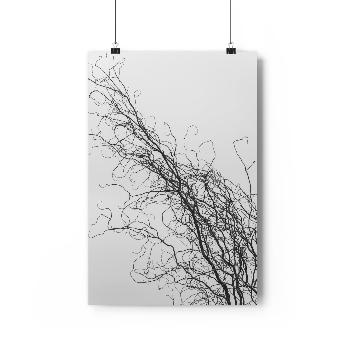 Art Print - Gnarled Bald Tree Branches