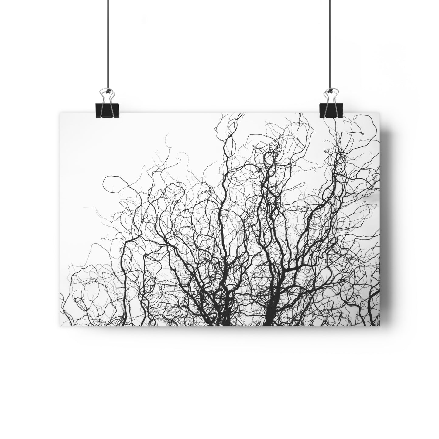 Giclée Art Print - Gnarled Bald Tree Branches