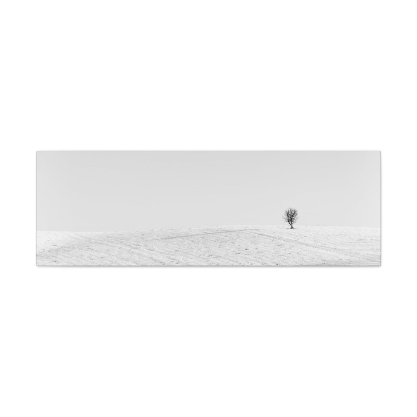 Canvas Print Lone Tree Winter Photography
