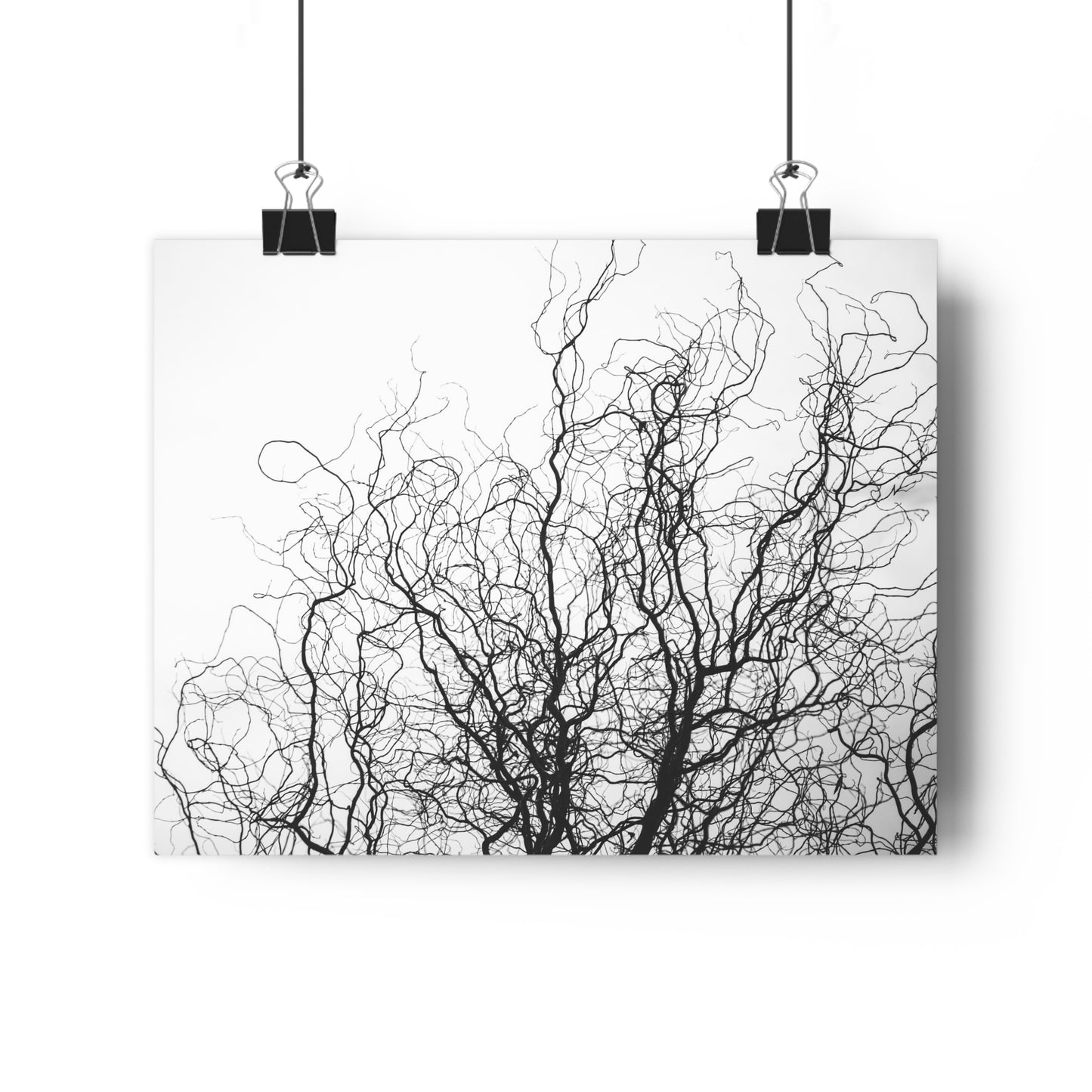 Giclée Art Print - Gnarled Bald Tree Branches
