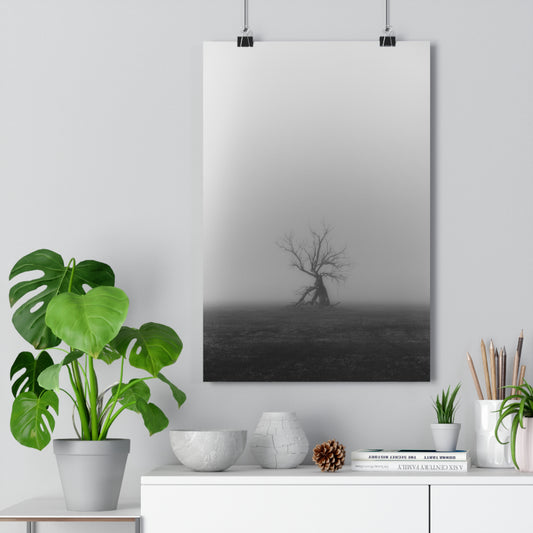 Giclée Art Print, Black and White Tree Photo, Wall Art Decor, Nature Lover Gift, Minimalist Home Decor, Ent Tree Art, Foggy Day Print