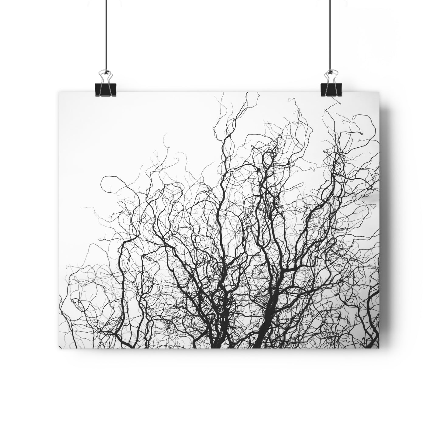 Giclée Art Print - Gnarled Bald Tree Branches