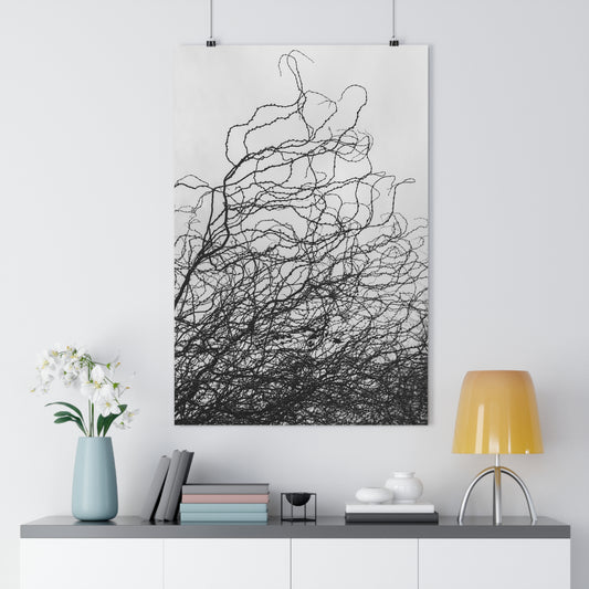 Giclée Art Print, Abstract Black and White Tree Branches, Wall Art Decor, Minimalist Home Decor, Fine Art Photography Print, Modern Art
