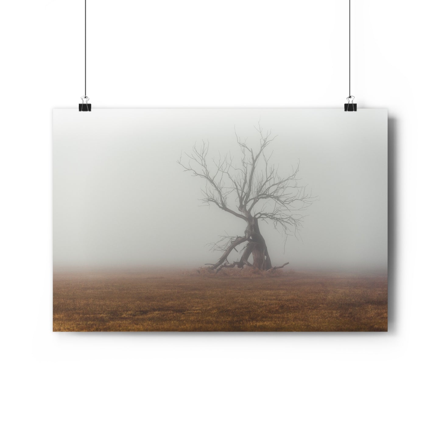 Art Print Wall Decor, Giclée Print, The Last Ent Tree Illustration, Foggy Field Landscape Poster, Nature Artwork, Unique Gift for Nature