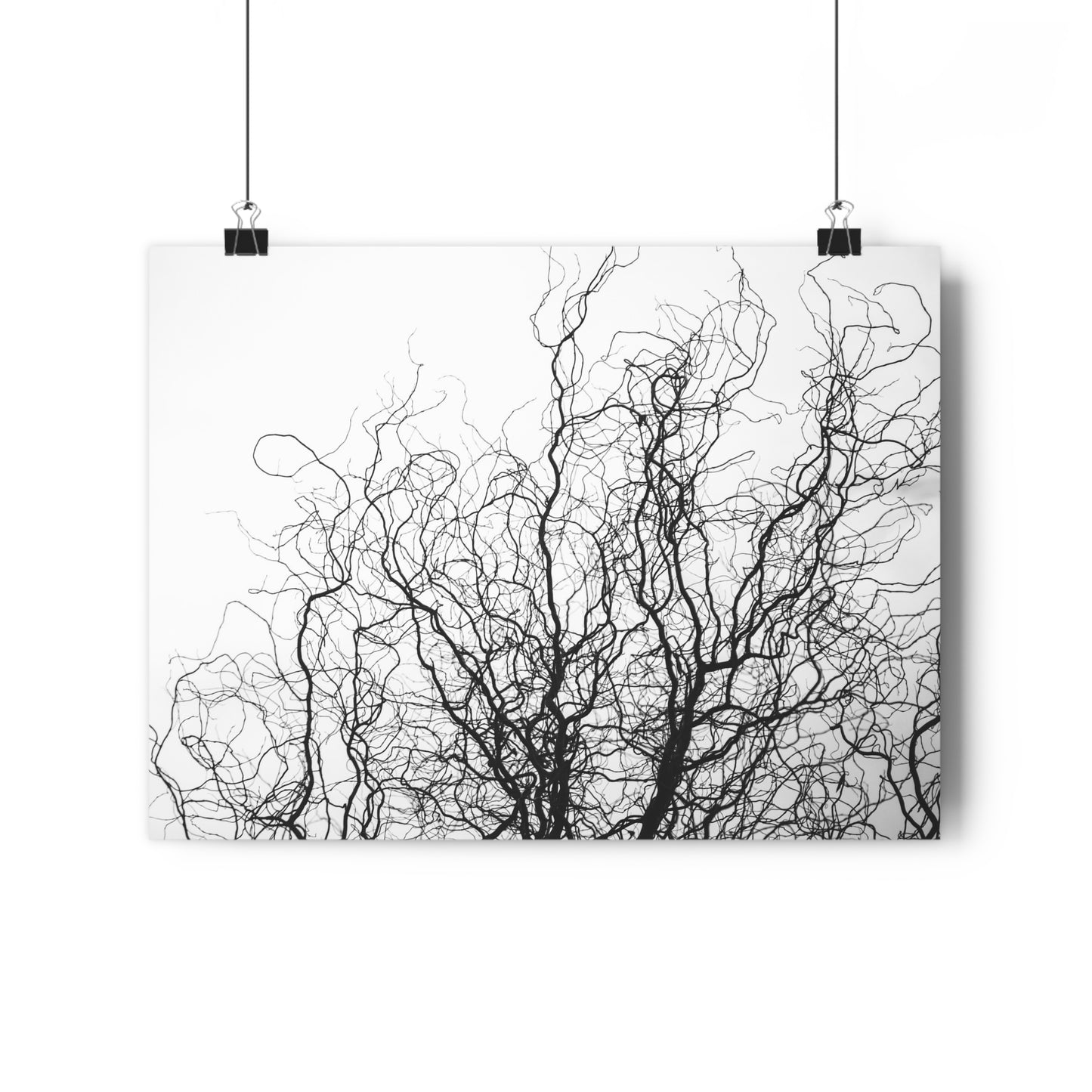 Giclée Art Print - Gnarled Bald Tree Branches
