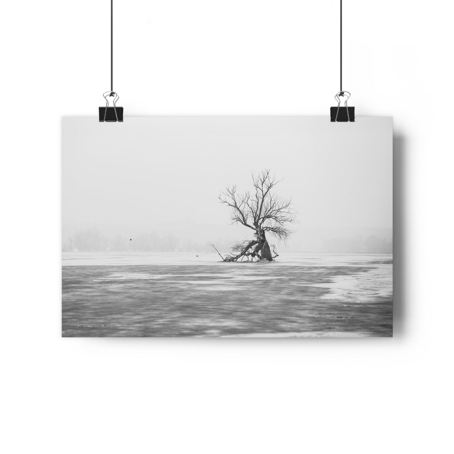 Giclée Print, Black and White Old Tree 'The Last Ent' in Frozen Field Winter Day Photo, Wall Art Decor, Nature Print, Tree Lover Gift, Home