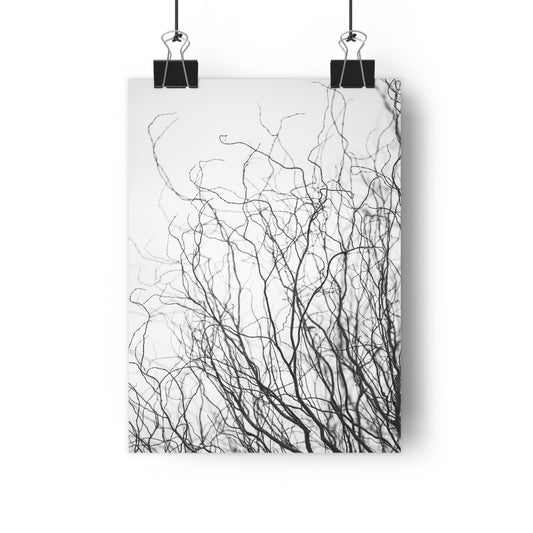 Giclée Print, Winter Tree Branches Art, 'Tangled Whispers' Wall Decor, Nature Print, Home Decor, Black and White Art, Gift for Nature