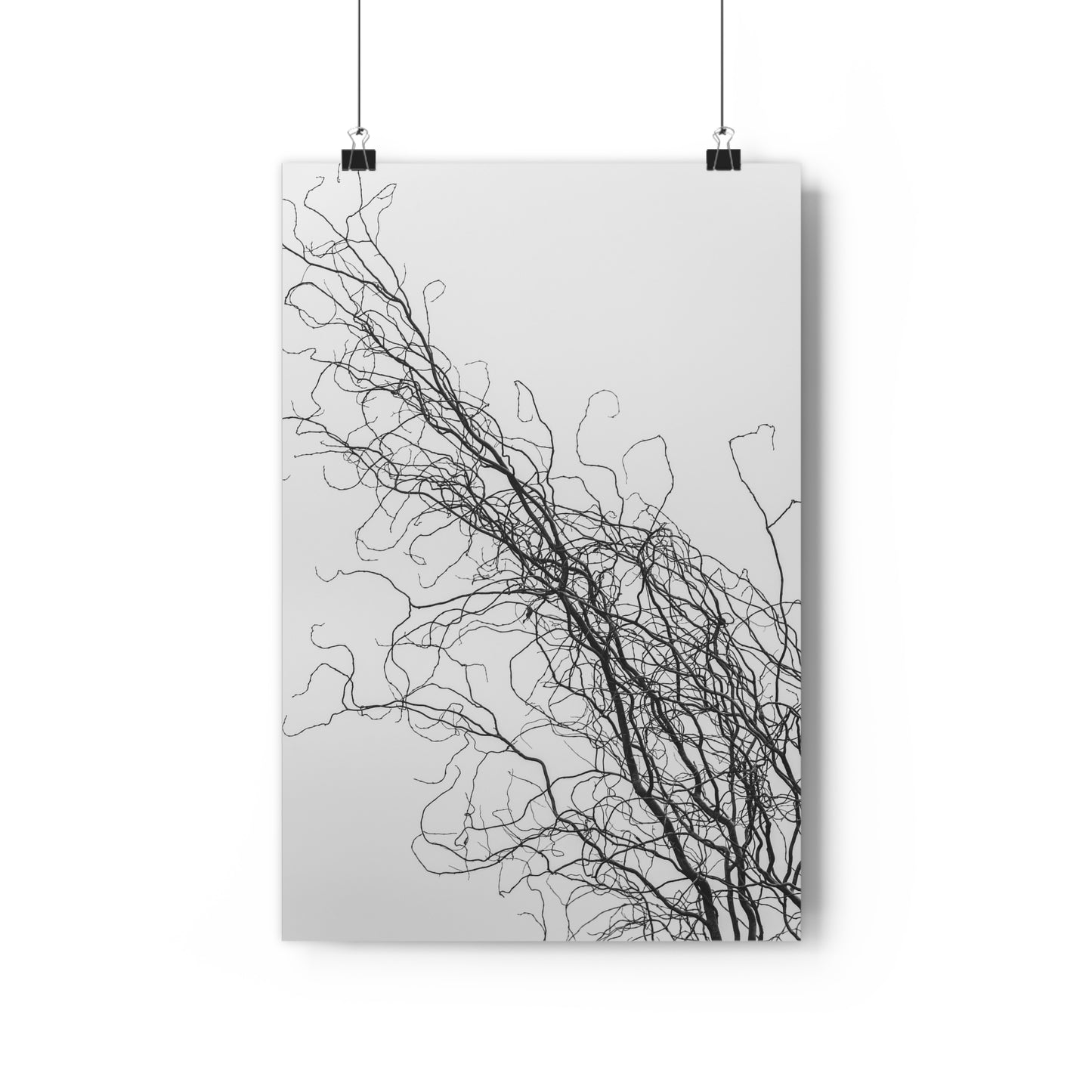 Art Print - Gnarled Bald Tree Branches