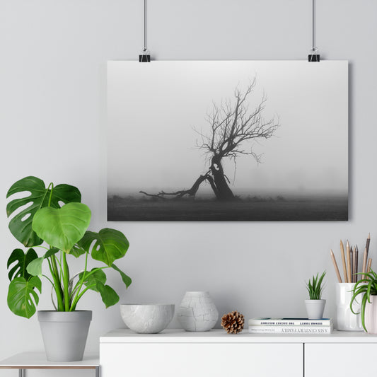 Giclée Art Print, Black and White Tree Photo, Wall Art Decor, Nature Lover Gift, Minimalist Home Decor, Ent Tree Art, Foggy Day Print
