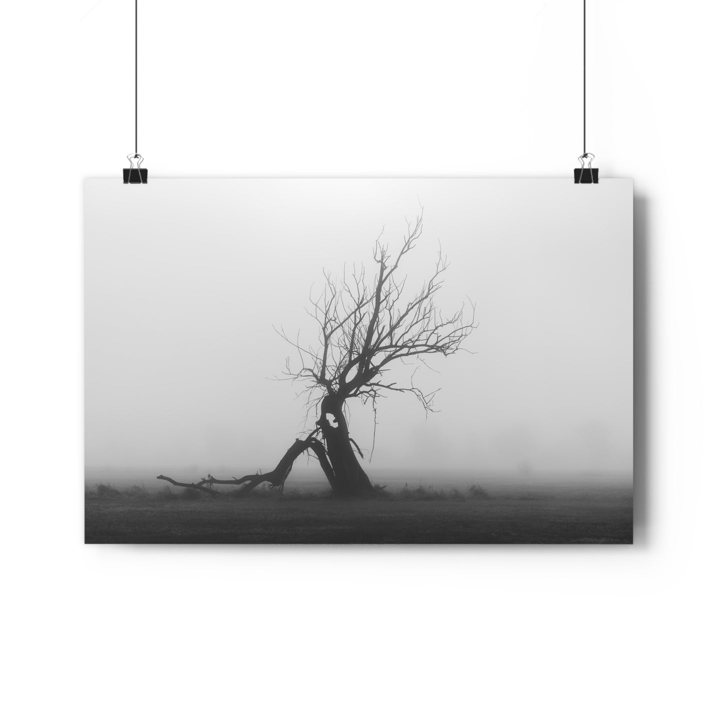 Giclée Art Print, Black and White Tree Photo, Wall Art Decor, Nature Lover Gift, Minimalist Home Decor, Ent Tree Art, Foggy Day Print