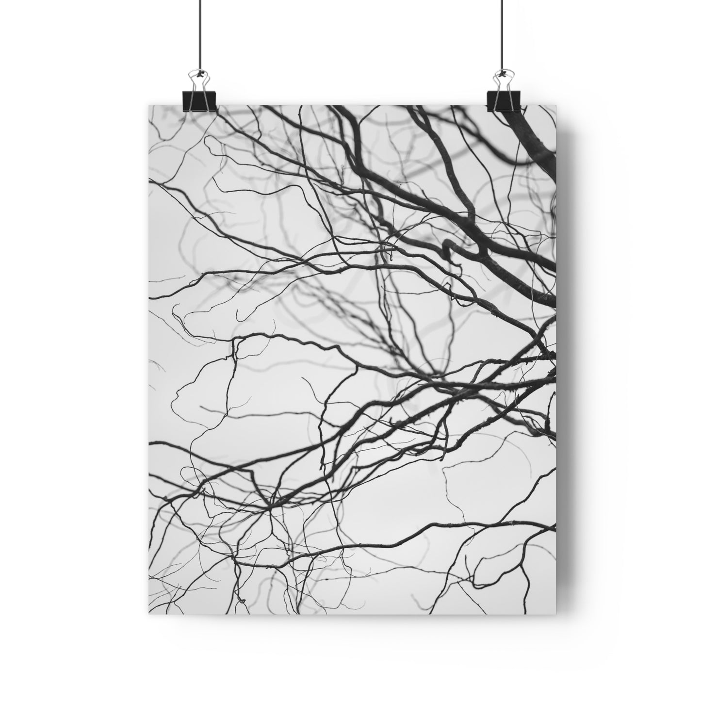 Giclée Art Print, Nature Wall Art, Tree Print, Minimalist Home Decor, Black and White Photography