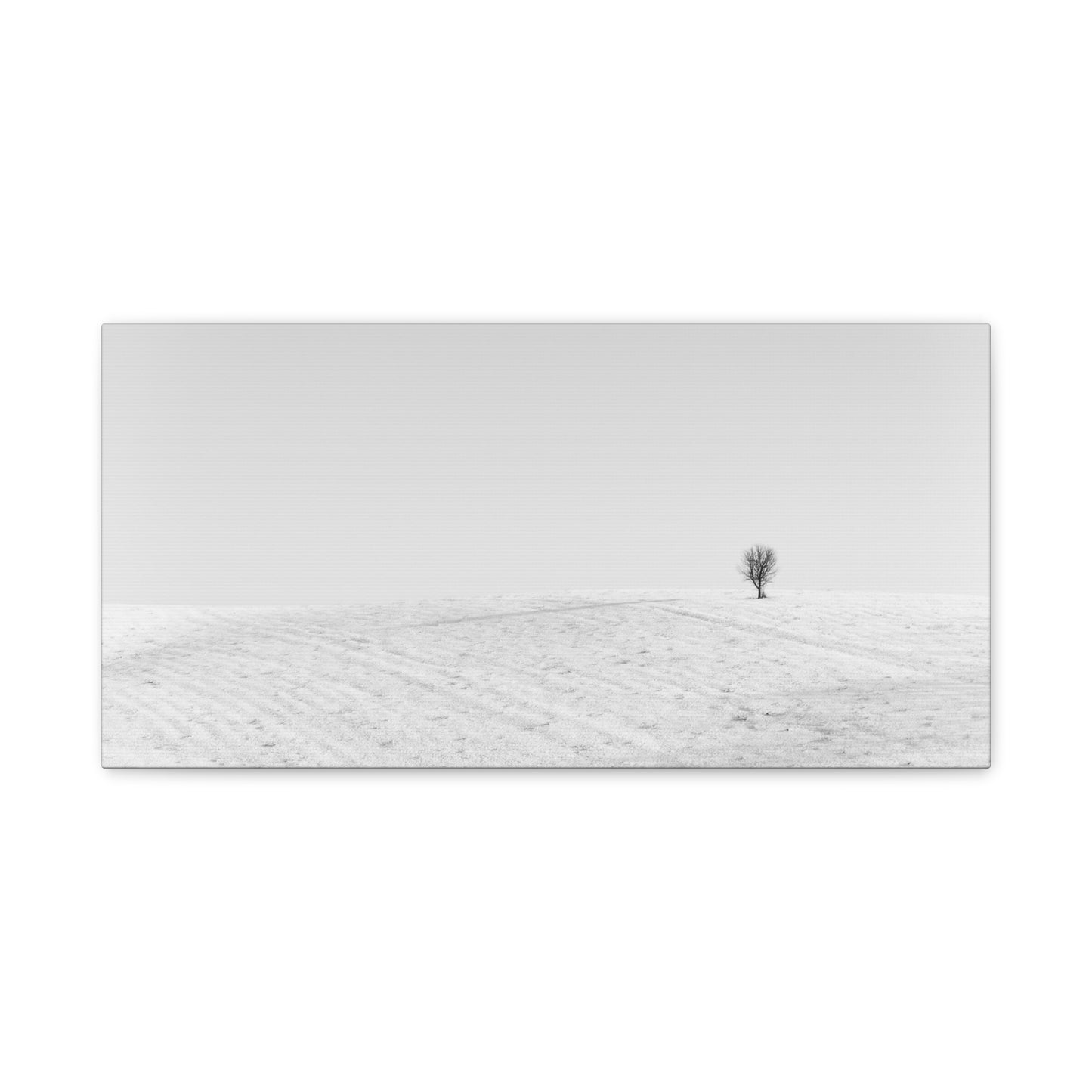Canvas Print Lone Tree Winter Photography