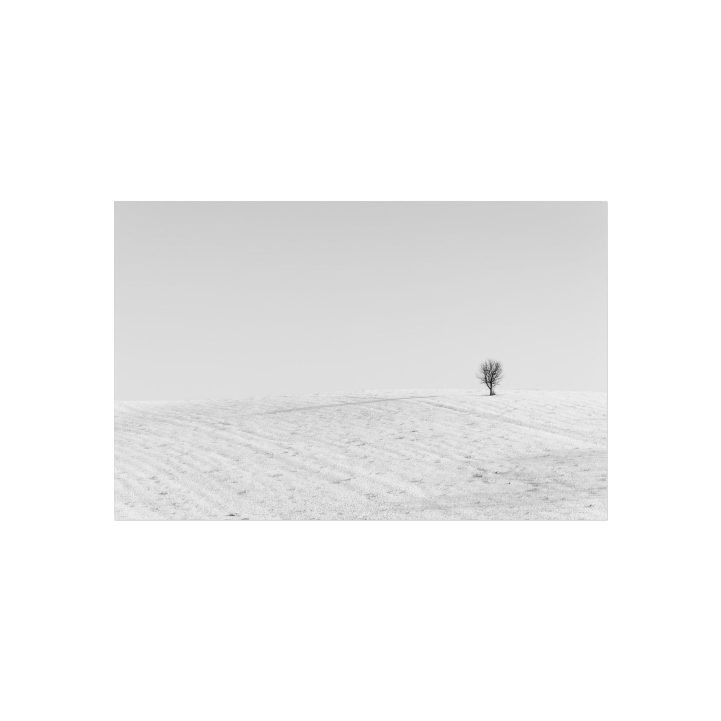 Fine Art Poster - Lone Tree on Snowy Hill Minimal Photo