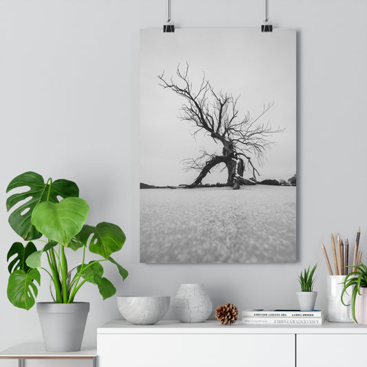 Giclée Print, Black and White Old Tree 'The Last Ent' in Frozen Field Winter Day Photo, Wall Art Decor, Nature Print, Tree Lover Gift, Home