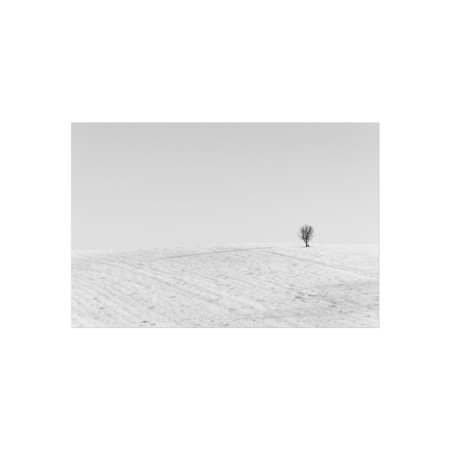 Fine Art Poster - Lone Tree on Snowy Hill Minimal Photo