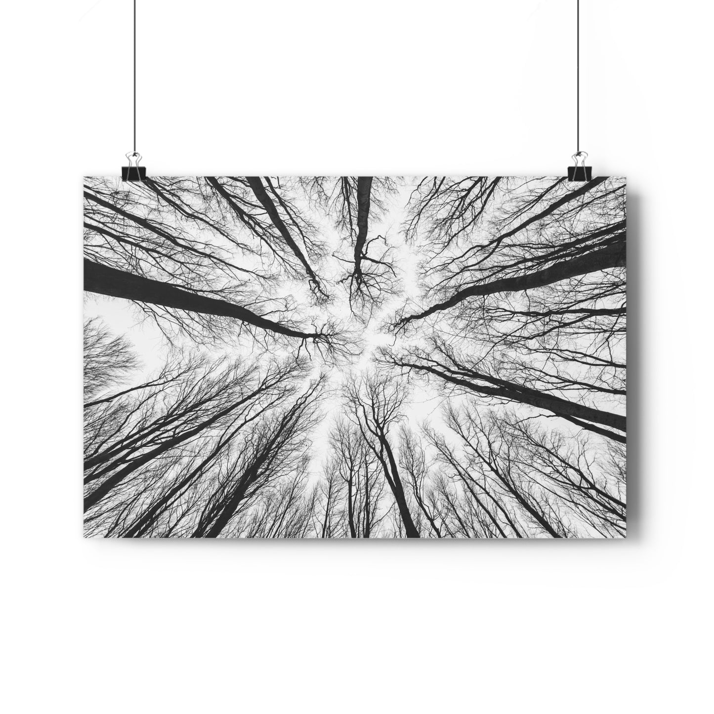 Wall Art Print of Winter Bald Tree Crowns, Black and White Photography, Home Decor, Nature Lover Gift, Christmas Wall
