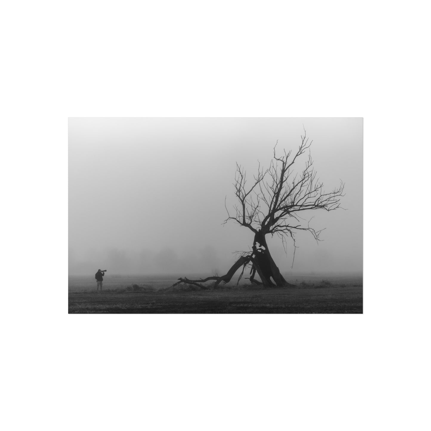 Art Poster - Face to Face Photographer and Tree Nature Landscape
