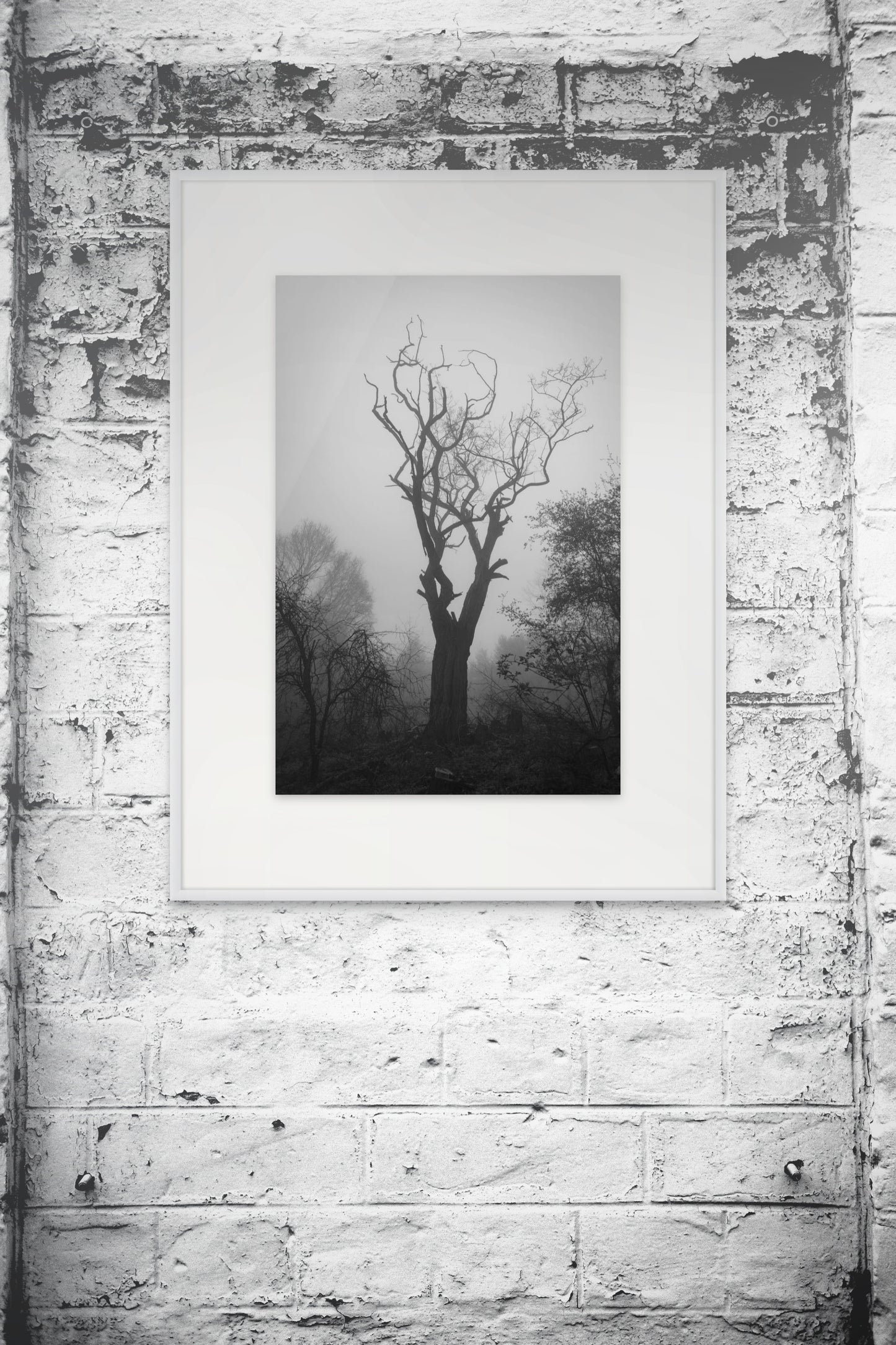 Giclée Art Print, Black and White Photo, Tree Silhouette Wall Decor, Foggy Weather Landscape, Nature Photography Poster, Home Office