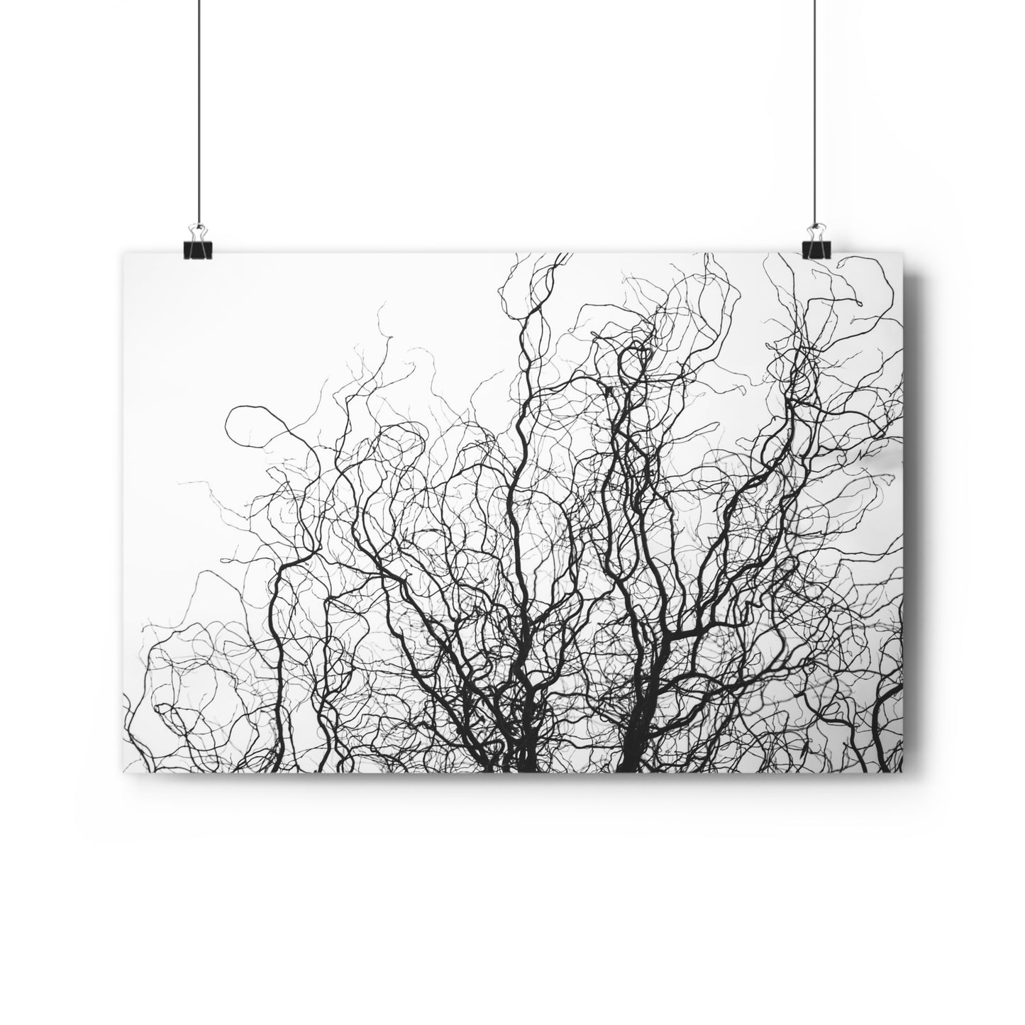 Giclée Art Print - Gnarled Bald Tree Branches