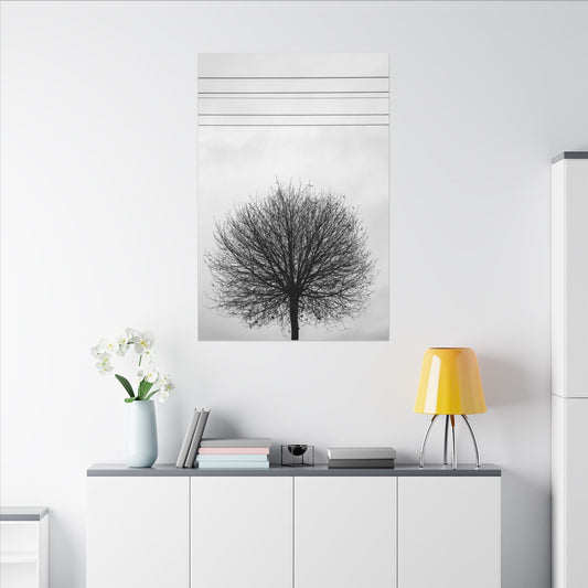 Seasons - Fall III. - Minimalist Wall Art Print, Stretched Canvas Art, Monochrome Home Decor, Black and White Tree Artwork, Modern Living Room Design