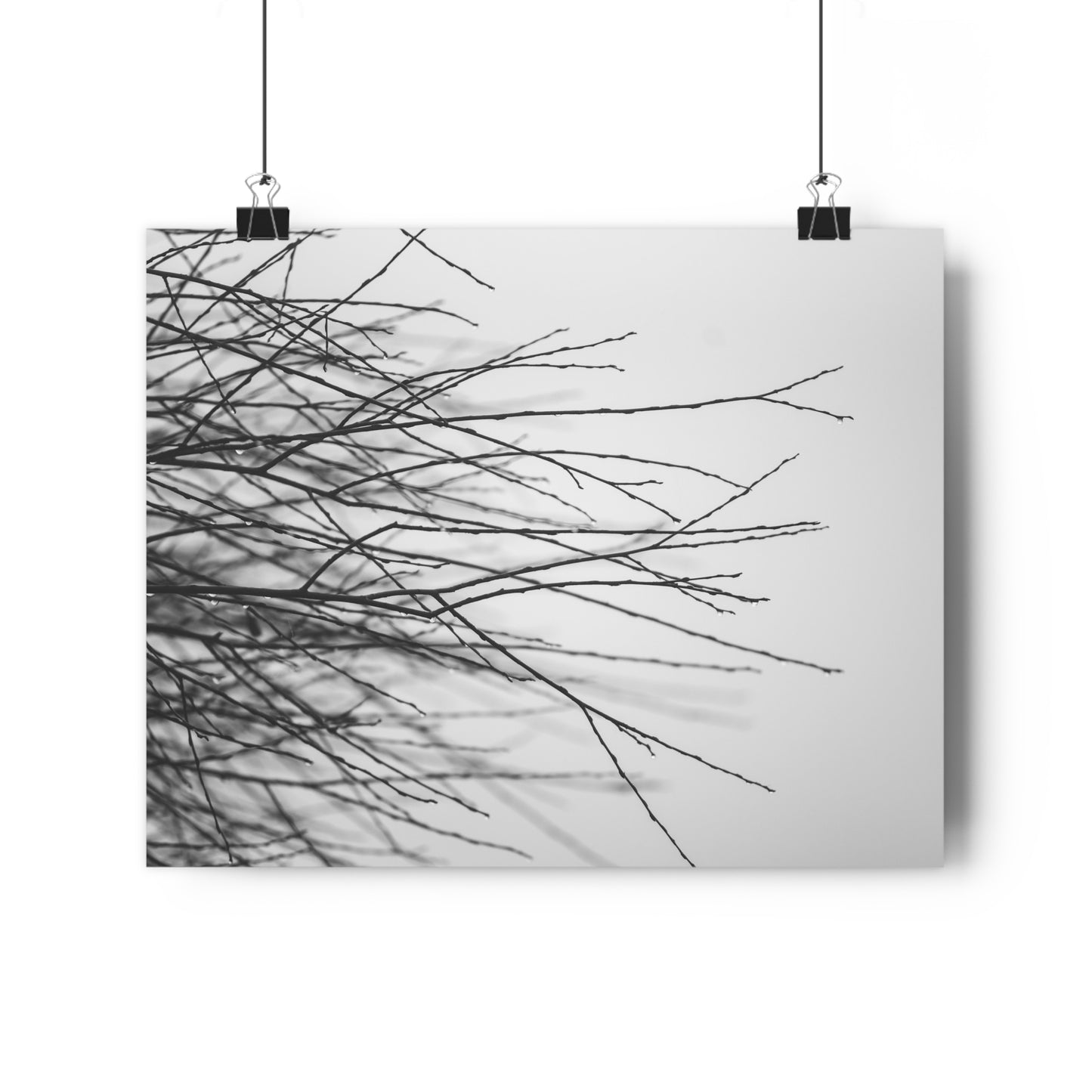 Giclée Art Print, Tree Branches at Winter Time, 'Tangled Whispers', Nature Wall Art, Home Decor, Gift for Nature Lover, Wall Decor, Winter