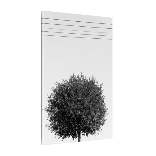 Seasons - summer - Minimalist Wall Art Print, Stretched Canvas Art, Monochrome Home Decor, Black and White Tree Artwork, Modern Living Room Design