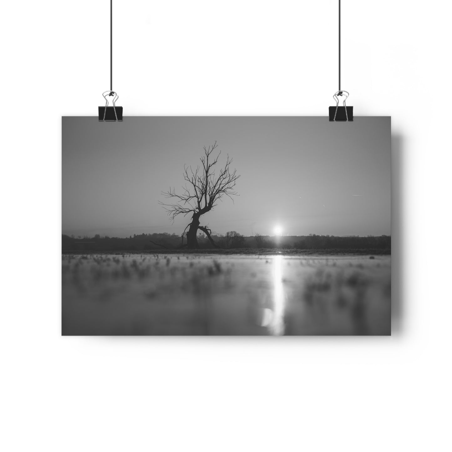 Giclée Art Print, Old Tree 'The Last Ent' Winter Sunset Black White Photo, Wall Art Decor, Nature Lover Gift, Landscape Photography, Fine