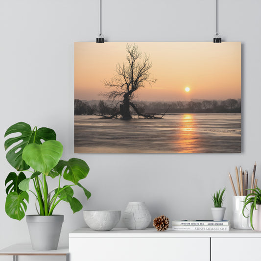 Giclée Art Print, Winter Sunset Tree Art, Last Ent Frozen Field Wall Decor, Nature Landscape Poster, Home Office Decor Print, Large Tree