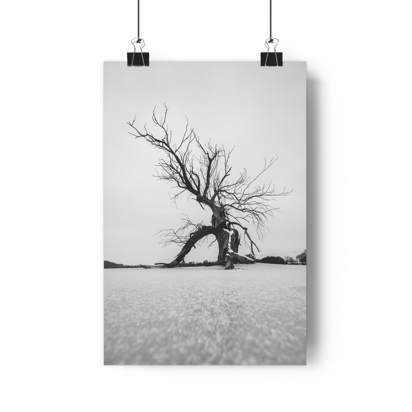 Giclée Print, Black and White Old Tree 'The Last Ent' in Frozen Field Winter Day Photo, Wall Art Decor, Nature Print, Tree Lover Gift, Home