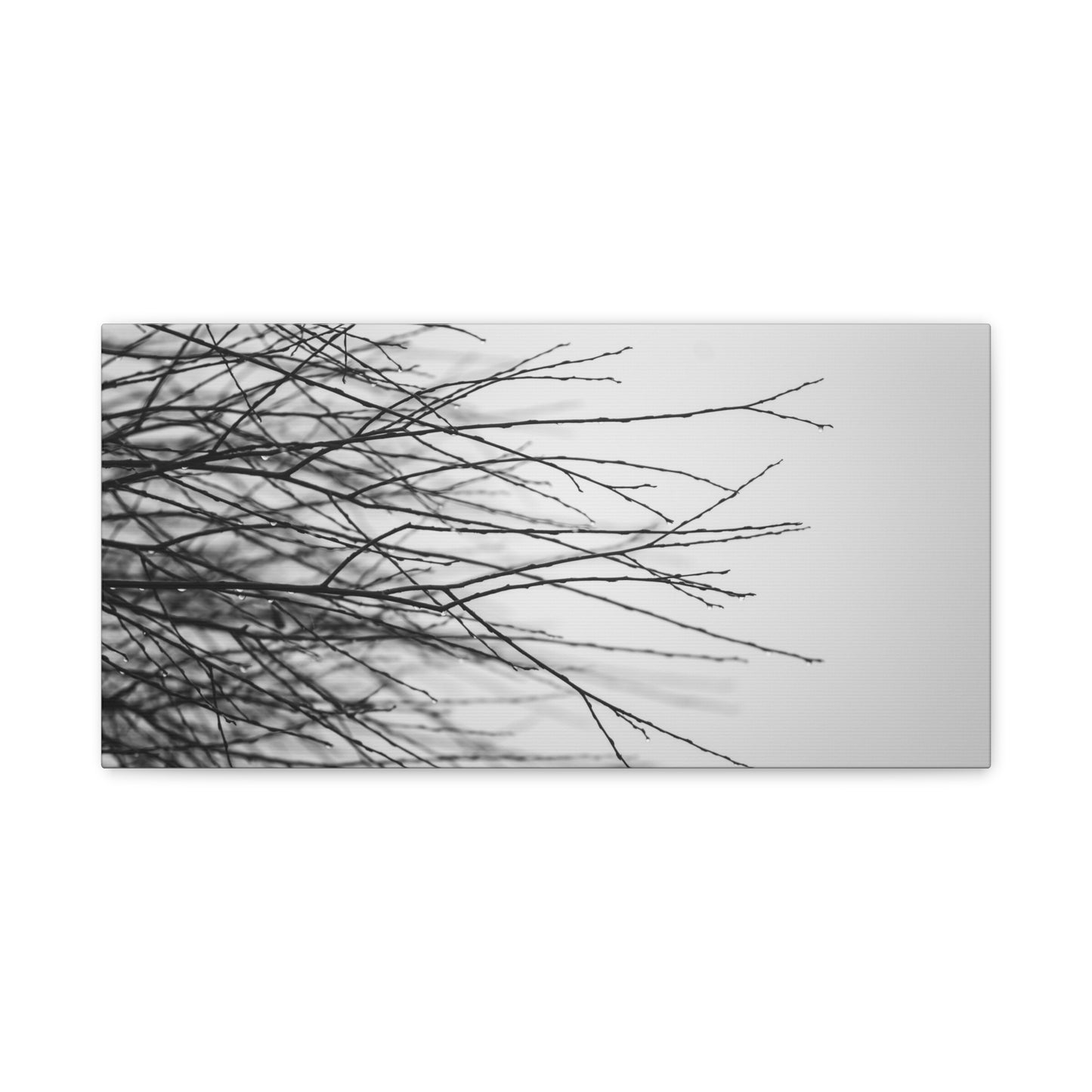 Canvas Print, Winter Tree Branches Matte Stretched