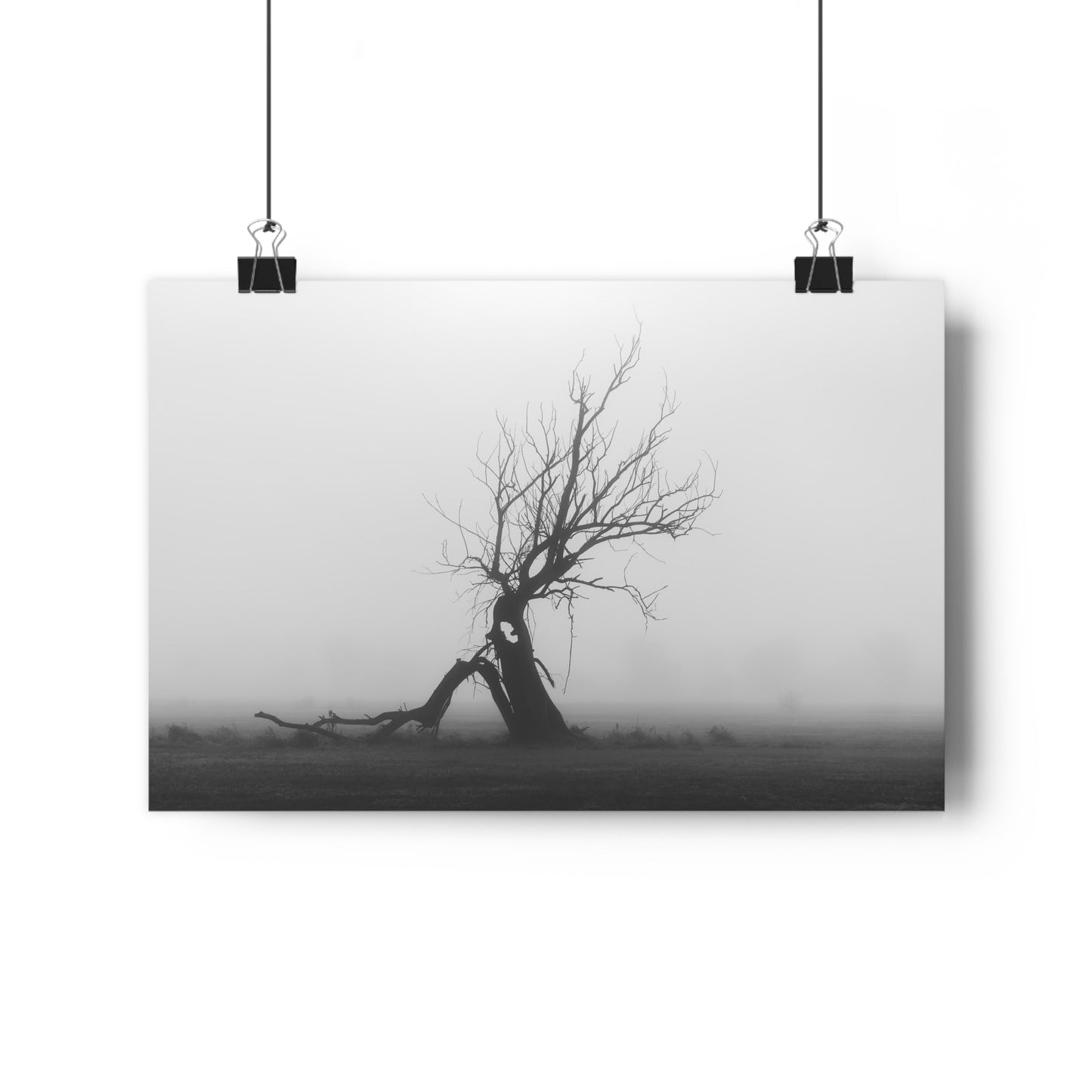 Giclée Art Print, Black and White Tree Photo, Wall Art Decor, Nature Lover Gift, Minimalist Home Decor, Ent Tree Art, Foggy Day Print