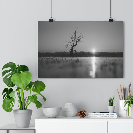 Giclée Art Print, Old Tree 'The Last Ent' Winter Sunset Black White Photo, Wall Art Decor, Nature Lover Gift, Landscape Photography, Fine