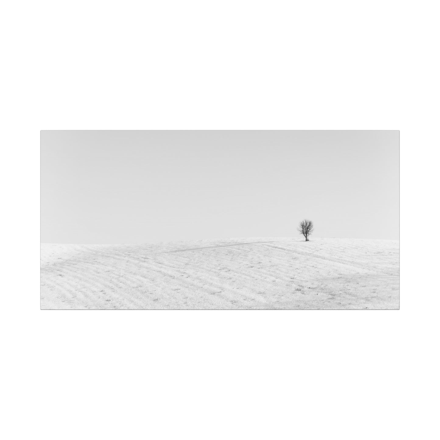 Canvas Print Lone Tree Winter Photography