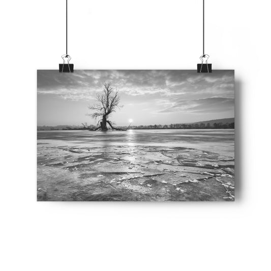 Giclée Art Print, Old Tree 'The Last Ent' Winter Sunset Black White Photo, Wall Art Decor, Nature Lover Gift, Landscape Photography, Fine