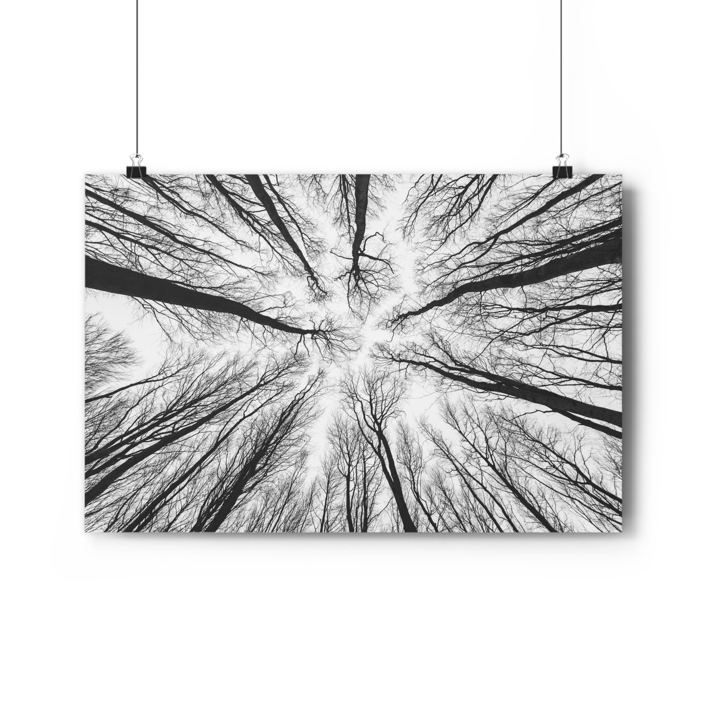 Wall Art Print of Winter Bald Tree Crowns, Black and White Photography, Home Decor, Nature Lover Gift, Christmas Wall