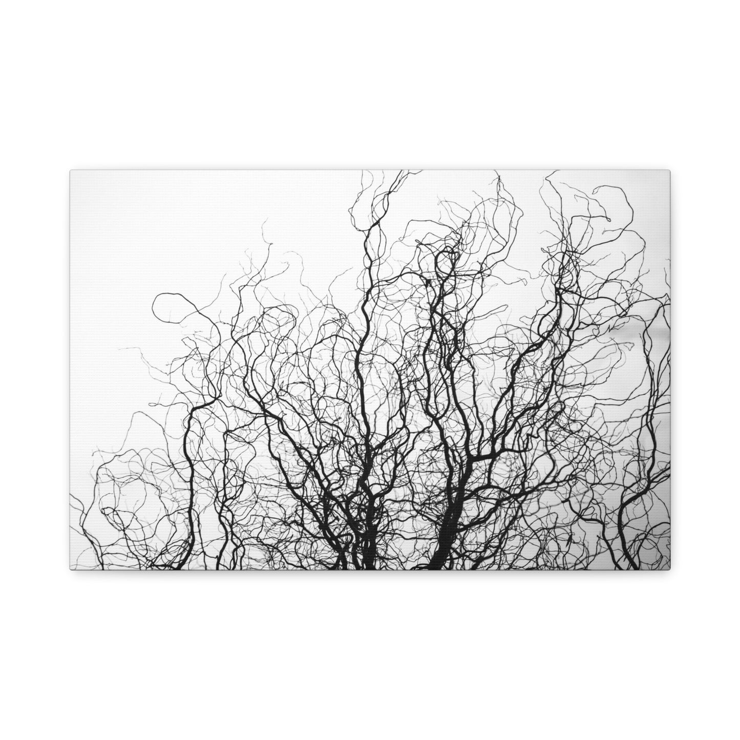 Canvas Print - Gnarled Bald Tree Branches