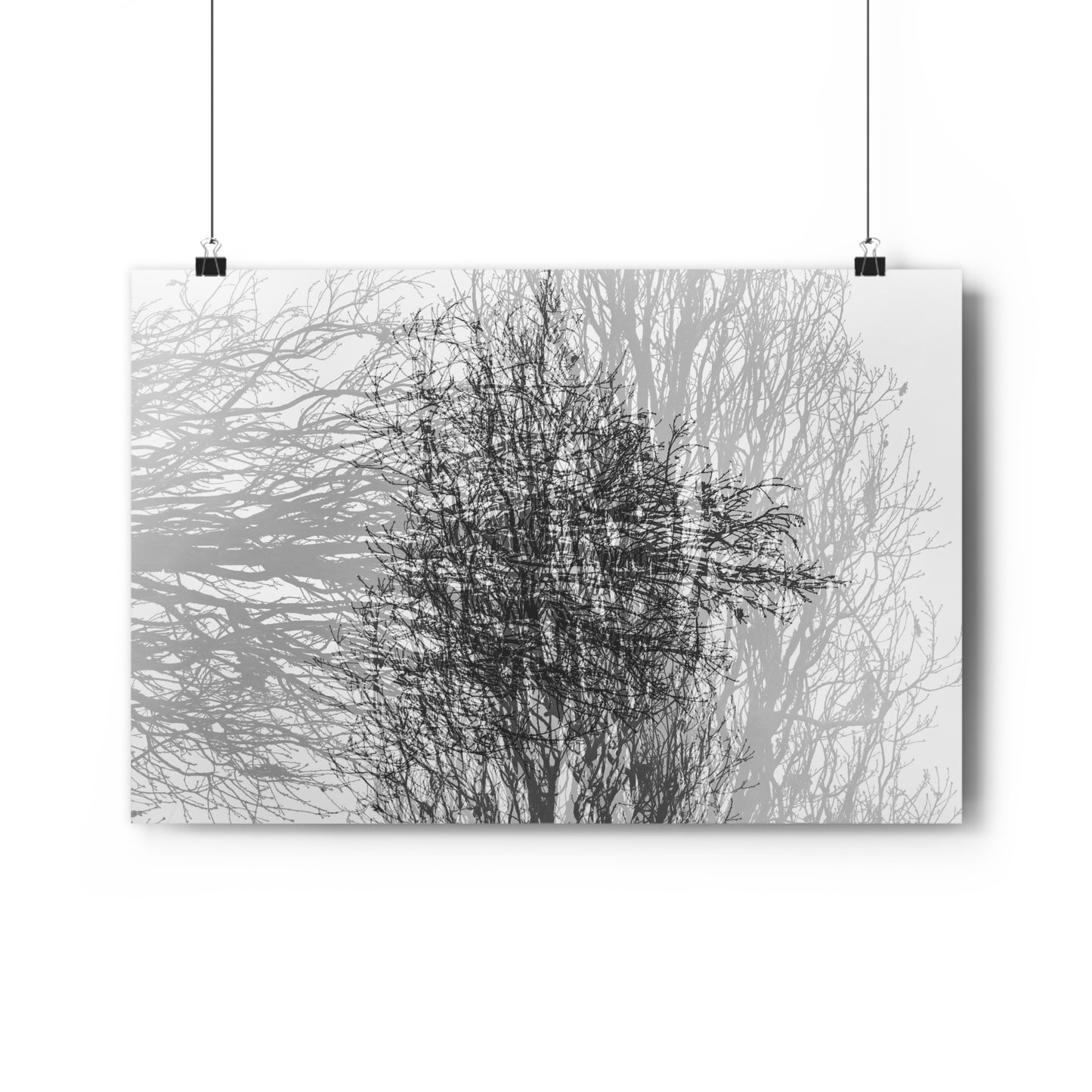 Giclée Art Print, Black and White Winter Tree Photo, Mysterious Multiexposure Wall Art, Home Decor, Nature Photography, Holiday Gift Idea