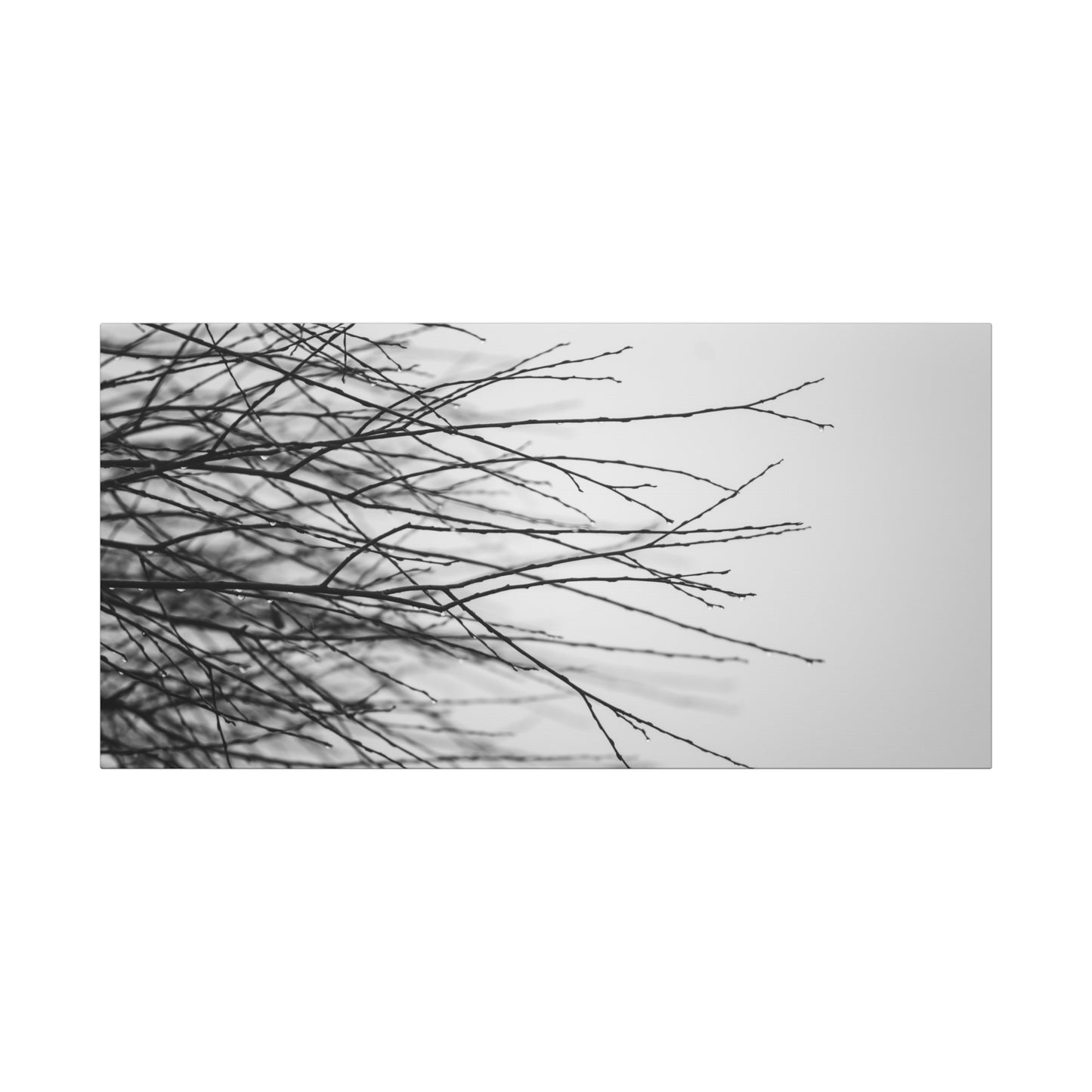 Canvas Print, Winter Tree Branches Matte Stretched