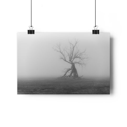 Giclée Art Print, Black and White Tree Photo, Wall Art Decor, Nature Lover Gift, Minimalist Home Decor, Ent Tree Art, Foggy Day Print