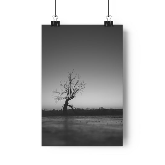 Giclée Art Print, Old Tree 'The Last Ent' Winter Sunset Black White Photo, Wall Art Decor, Nature Lover Gift, Landscape Photography, Fine