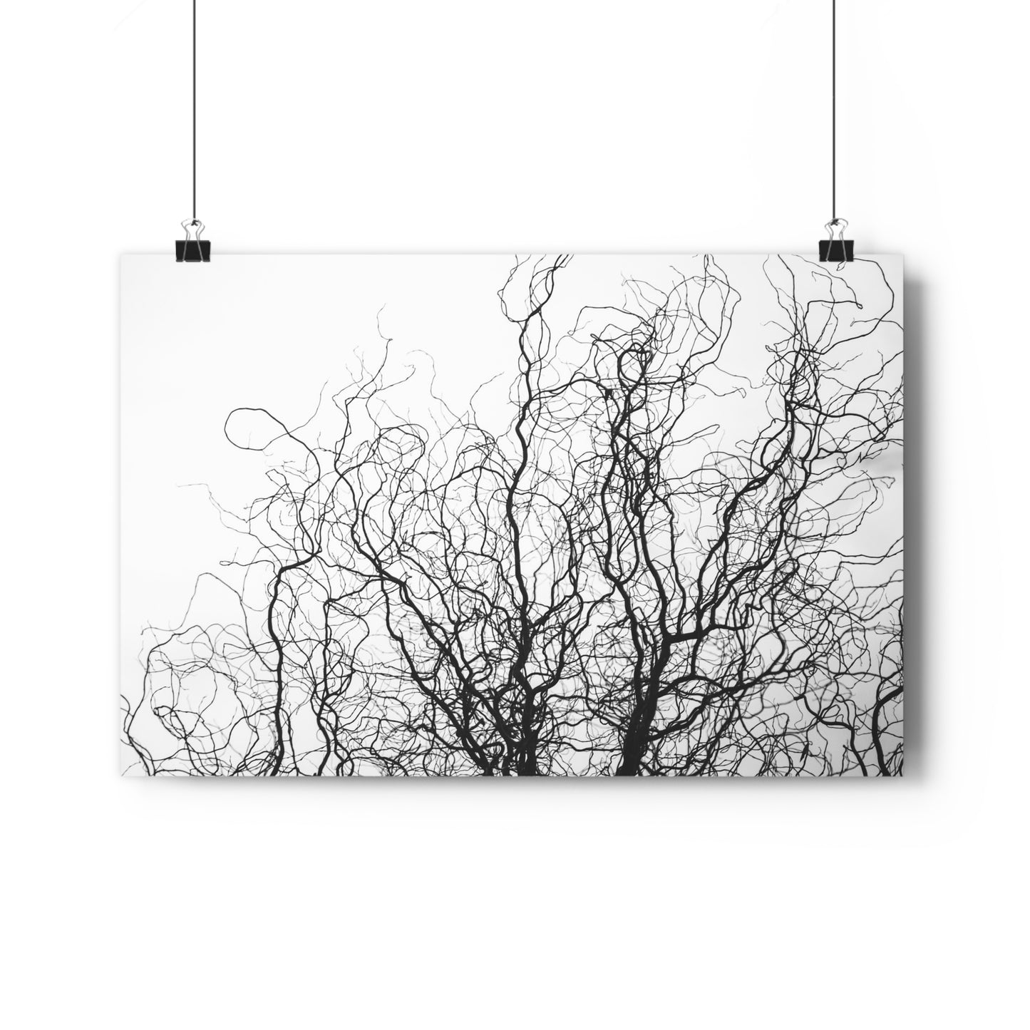 Giclée Art Print - Gnarled Bald Tree Branches