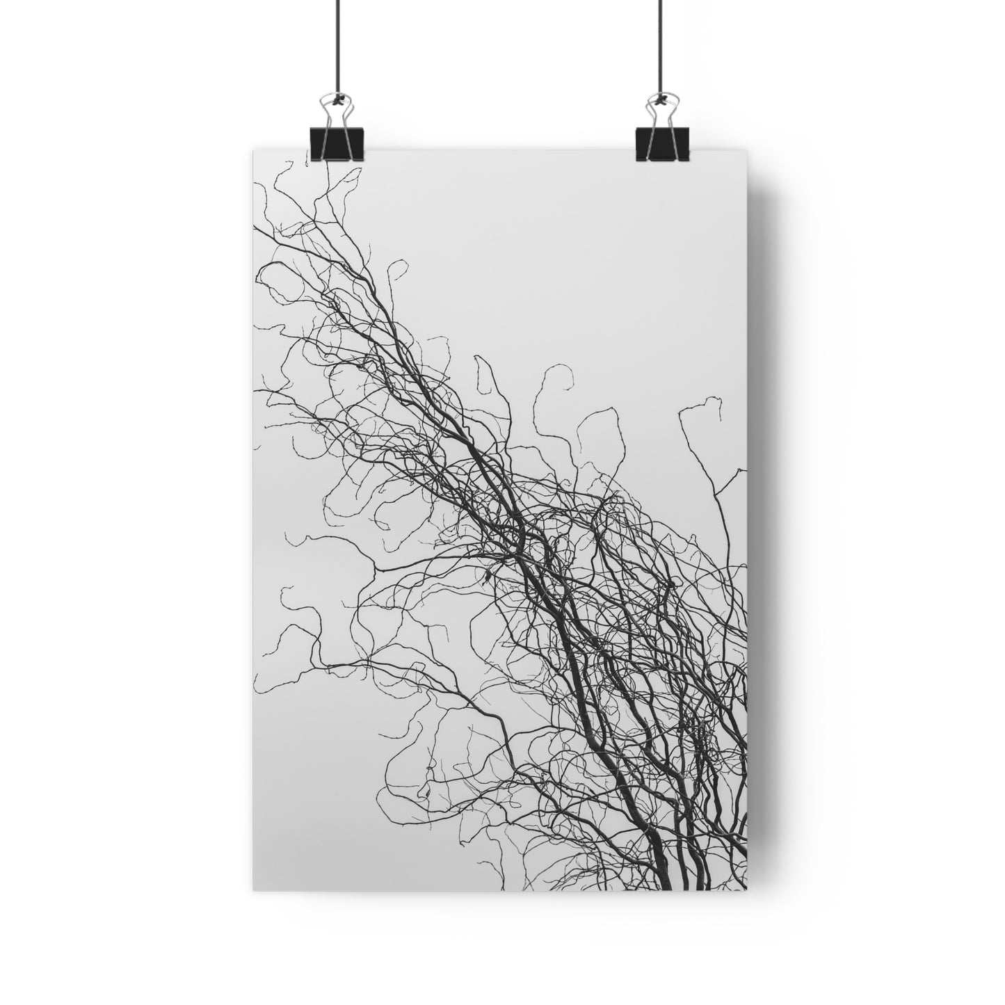 Art Print - Gnarled Bald Tree Branches
