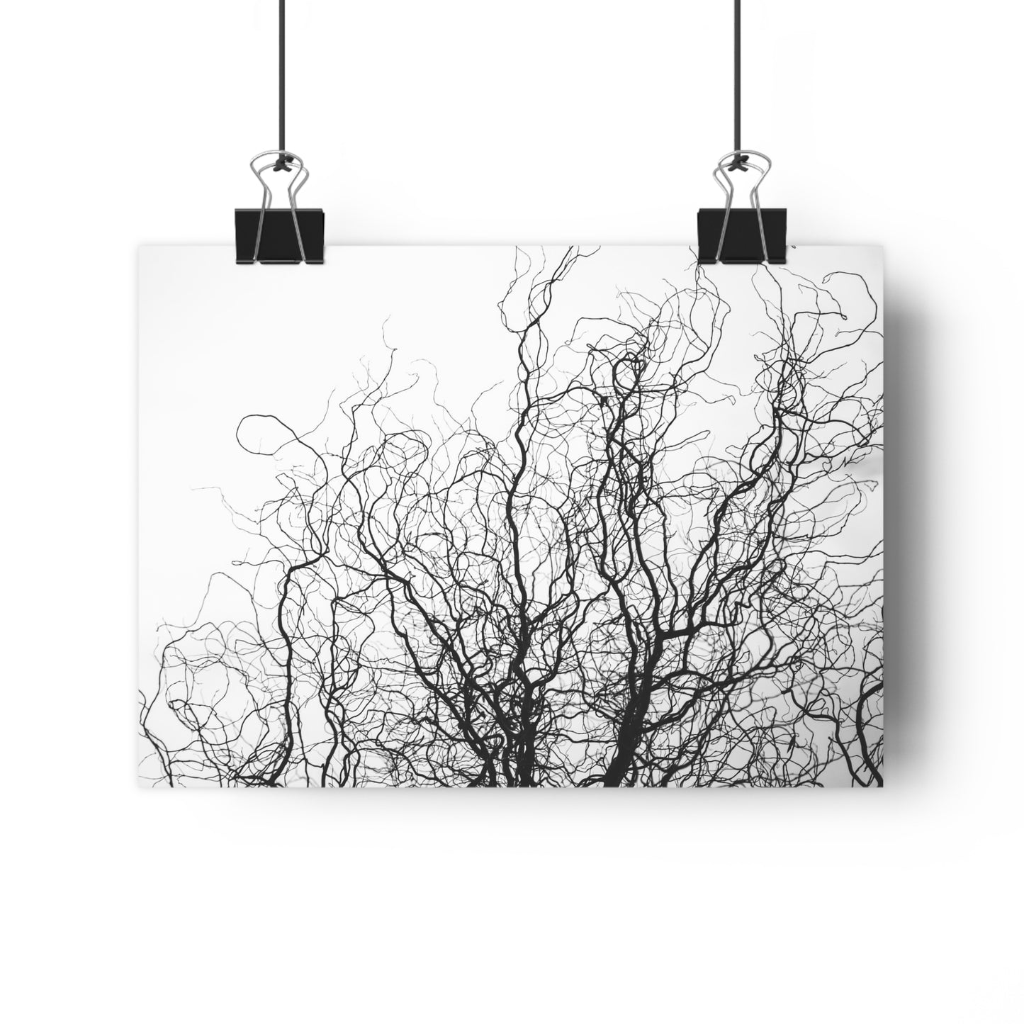 Giclée Art Print - Gnarled Bald Tree Branches