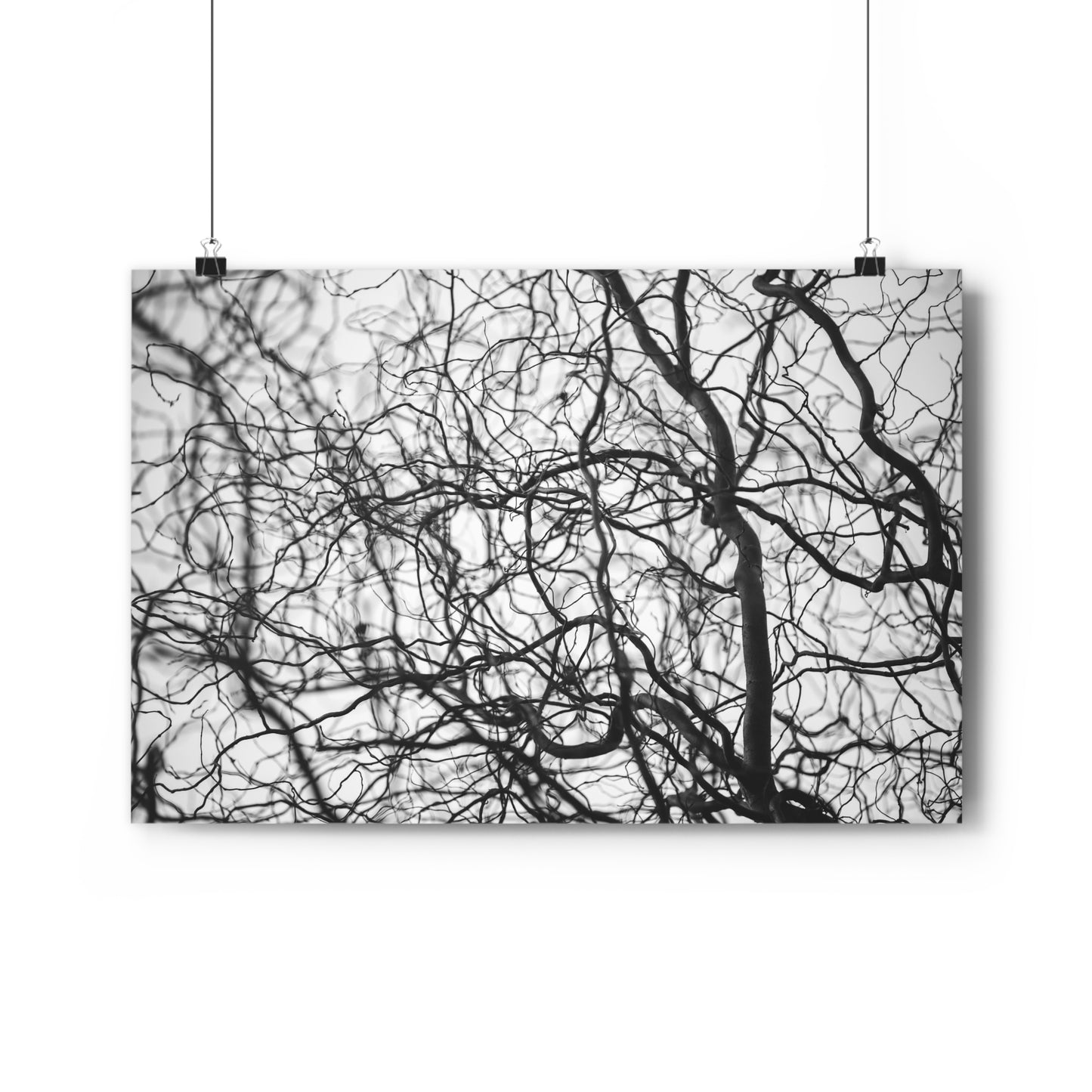 Giclée Art Print, Tree Branches at Winter Time, 'Tangled Whispers', Nature Wall Art, Home Decor, Gift for Nature Lover, Wall Decor, Winter