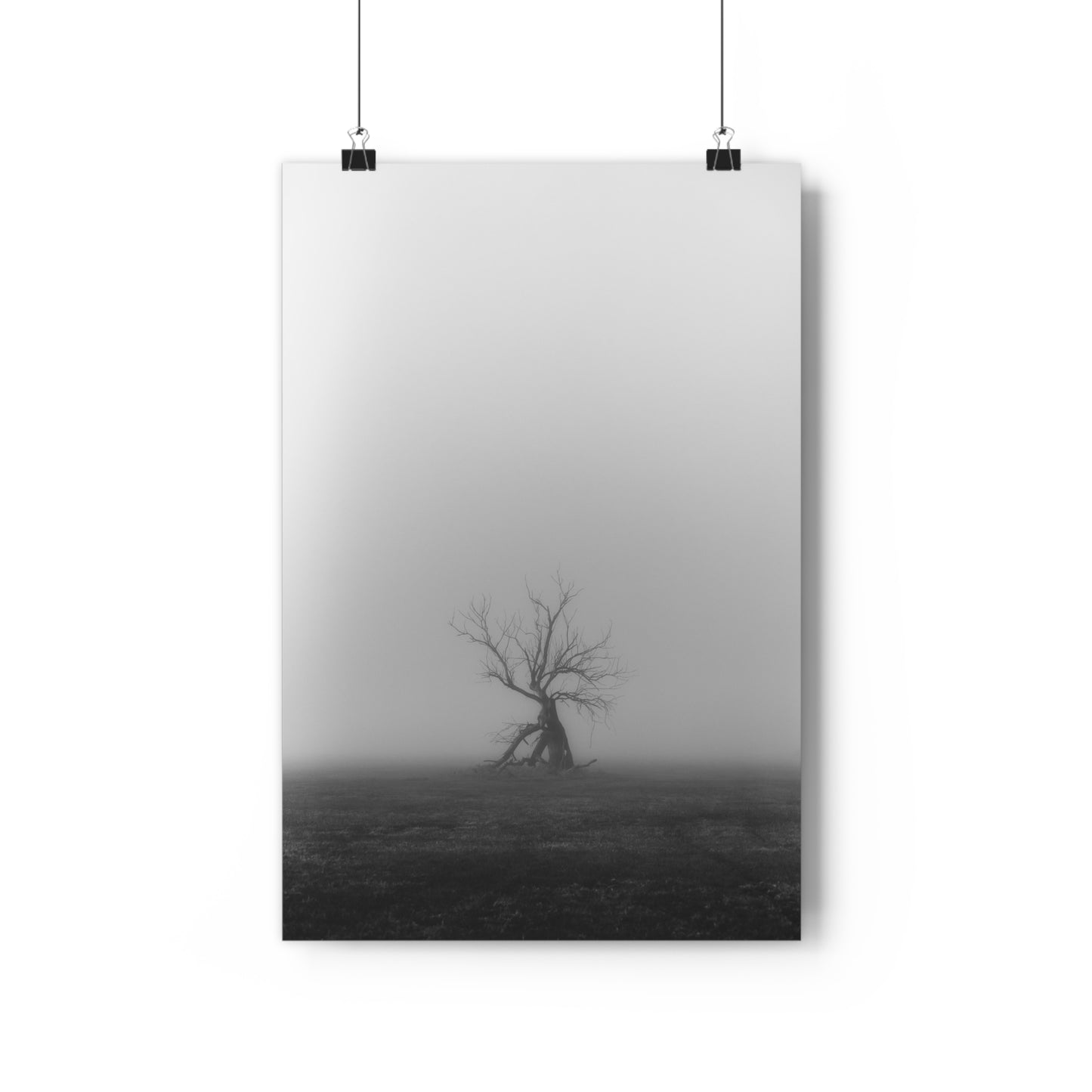 Giclée Art Print, Black and White Tree Photo, Wall Art Decor, Nature Lover Gift, Minimalist Home Decor, Ent Tree Art, Foggy Day Print